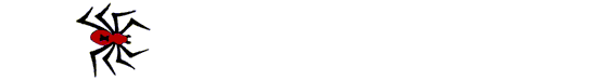 ragno017