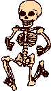 scheletril023