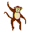 scimmia003