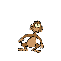 scimmia056