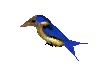 uccello026
