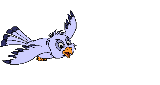 uccello069