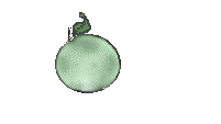 verme012