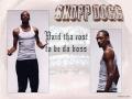 snoopdogg 306