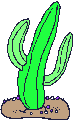 cactus3