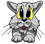 chat004