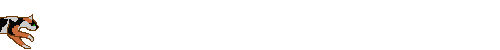 chat10