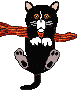 chat12