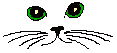 chat14