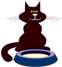 chat15