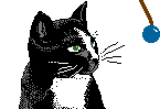 chat17
