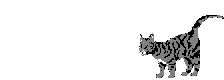 chat7