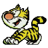 chat8