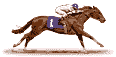 cheval004