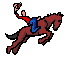 cheval009
