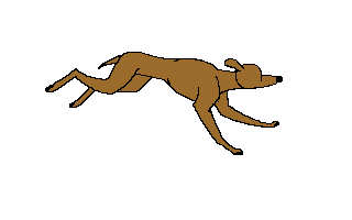 chien19