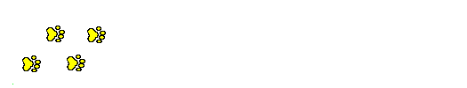 chien24