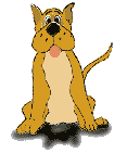 chien7