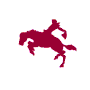 cowboy4