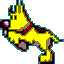 dog7