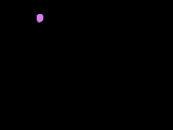 feu2