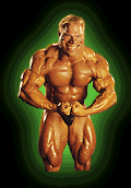 flexan