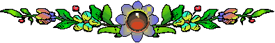 flower27