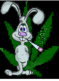 jaco