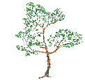 jotree4