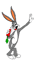 lapin10