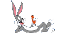 lapin3
