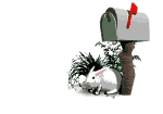 lapin6