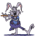 lapin8