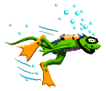 mozilla1