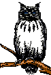 owl2