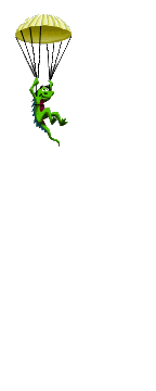 parachute