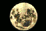 planet21