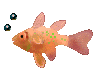 poisson13