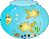 poisson14