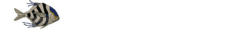 poisson17