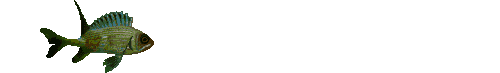 poisson18