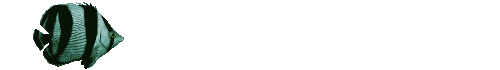 poisson19