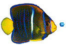poisson3