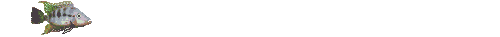 poisson7