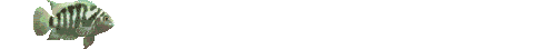 poisson8