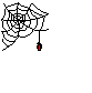 spider2