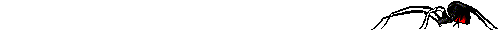 spider8