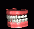 TEETH1~148