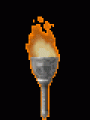 TORCH ~144